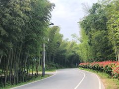 -池州市平天湖风景区