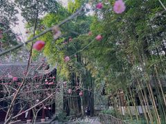 -成都杜甫草堂博物馆
