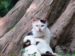 -苏州河梦清园环保主题公园