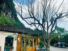 -村上春树
