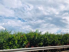 -抚仙湖生态石锅鱼野生菌(告庄店)