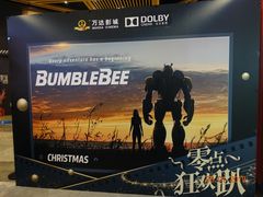 -万达影城(闵行颛桥万达广场杜比影院店)