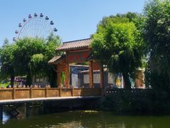 -白洋淀风景区