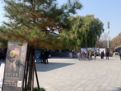 -赵州桥景区