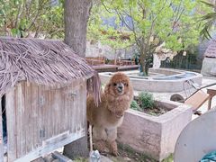 -天目湖涵田度假村