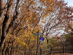 -阳台山自然风景区