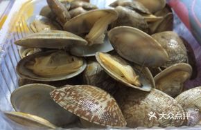 Clam Buy One Get One Free