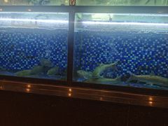 -尚竹阁冬瓜盅·18年地标美食(平洲店)
