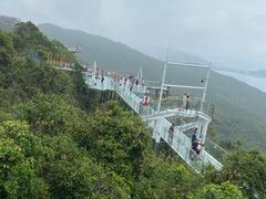 -亚龙湾热带天堂森林公园