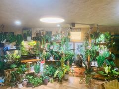 -Rabbit Cafe私房西餐甜点咖啡(栖霞路店)