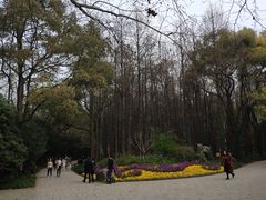 -共青国家森林公园-售票处