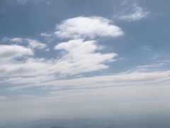 -银瓶嘴森林公园