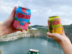 -黄埔油麻山森林公园