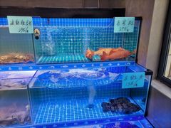 -阿毛饭店(和义路店)