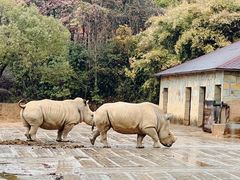 -杭州野生动物世界