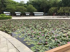 景点-中国客家博物馆