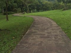 -福建鲤鱼洲酒店