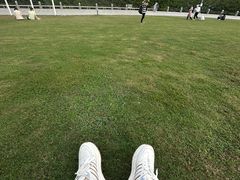 -深圳湾公园(南山区)