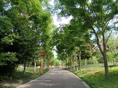 -眉山湿地公园(东坡区)