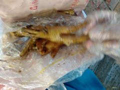 -鸡脚旮旯平江路店