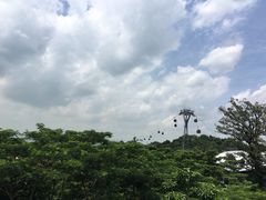 -圣淘沙天际线斜坡滑车