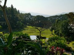 -四季酒店下午茶