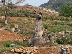 -密云玫瑰情园