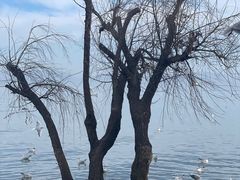 -捞渔河湿地公园