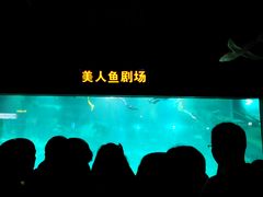 -福州罗源湾海洋世界旅游区