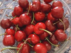 -果蔬好生活超市(乐堤港店)