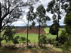 -墨尔本皇家植物园