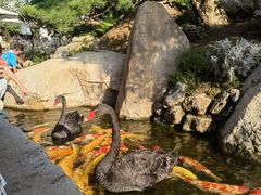 -罗红摄影艺术馆