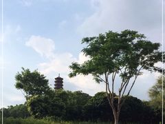 -红花山公园