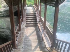 -白河湾生态旅游一条川