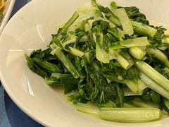 清炒五号菜-阿毛饭店(和义路店)