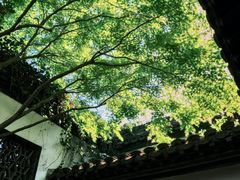 -南京市民俗博物馆(甘熙故居)