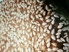 -清真·京华源铜锅涮肉(丰庆店)