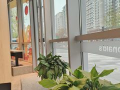 -麦当劳(北苑秋实路店)