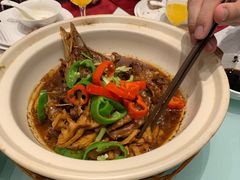 -扬州狮子楼·非遗淮扬菜(总店)