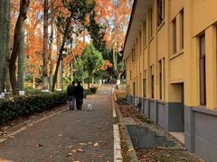 -T80科技文化国际社区-停车场