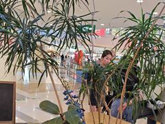 -野人先生Gelato(上海长宁龙之梦店)