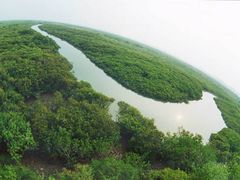 -北海金海湾红树林生态旅游区