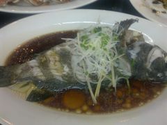 清蒸老虎斑-京港生鲜(四道口店)