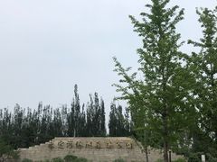 -永定河休闲森林公园