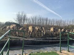 -溱湖国家湿地公园