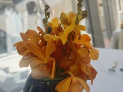 -止观小馆·辽河口渔家菜(王府井店)