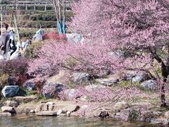 -中国茶叶博物馆(双峰馆区)
