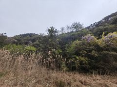 -会稽山峡洞漂流-上青古道