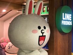 -line friends(明洞旗舰店)