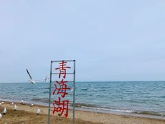 -青海湖国家重点风景名胜区
